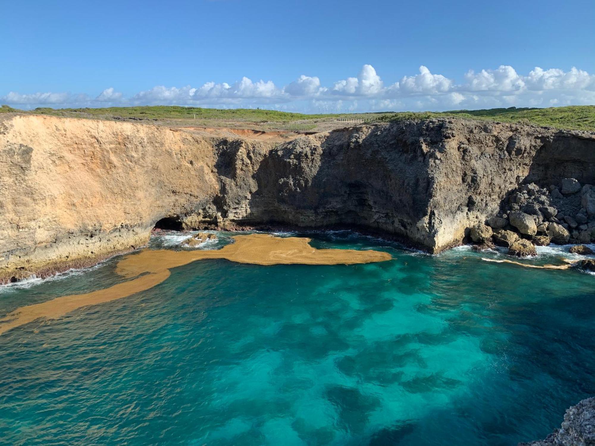 Anse-Bertrand La Maison Creole Du Flamboyant - Proche Des Plages מראה חיצוני תמונה