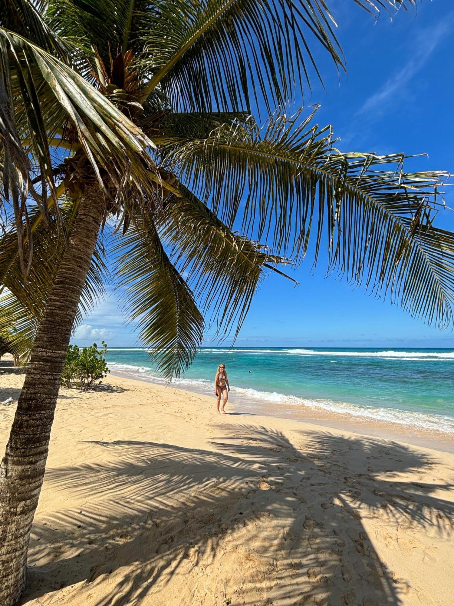 Anse-Bertrand La Maison Creole Du Flamboyant - Proche Des Plages מראה חיצוני תמונה