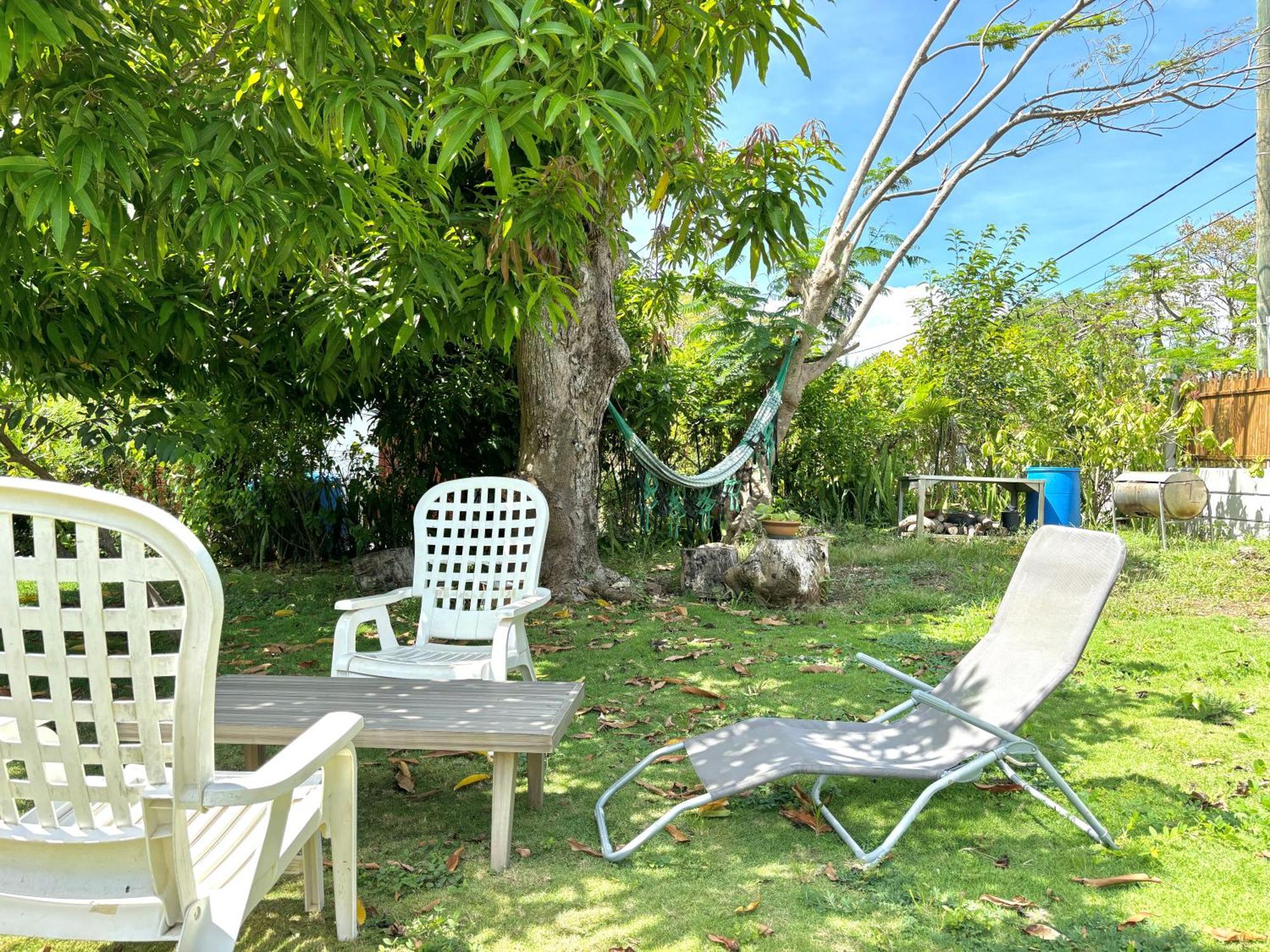 Anse-Bertrand La Maison Creole Du Flamboyant - Proche Des Plages מראה חיצוני תמונה