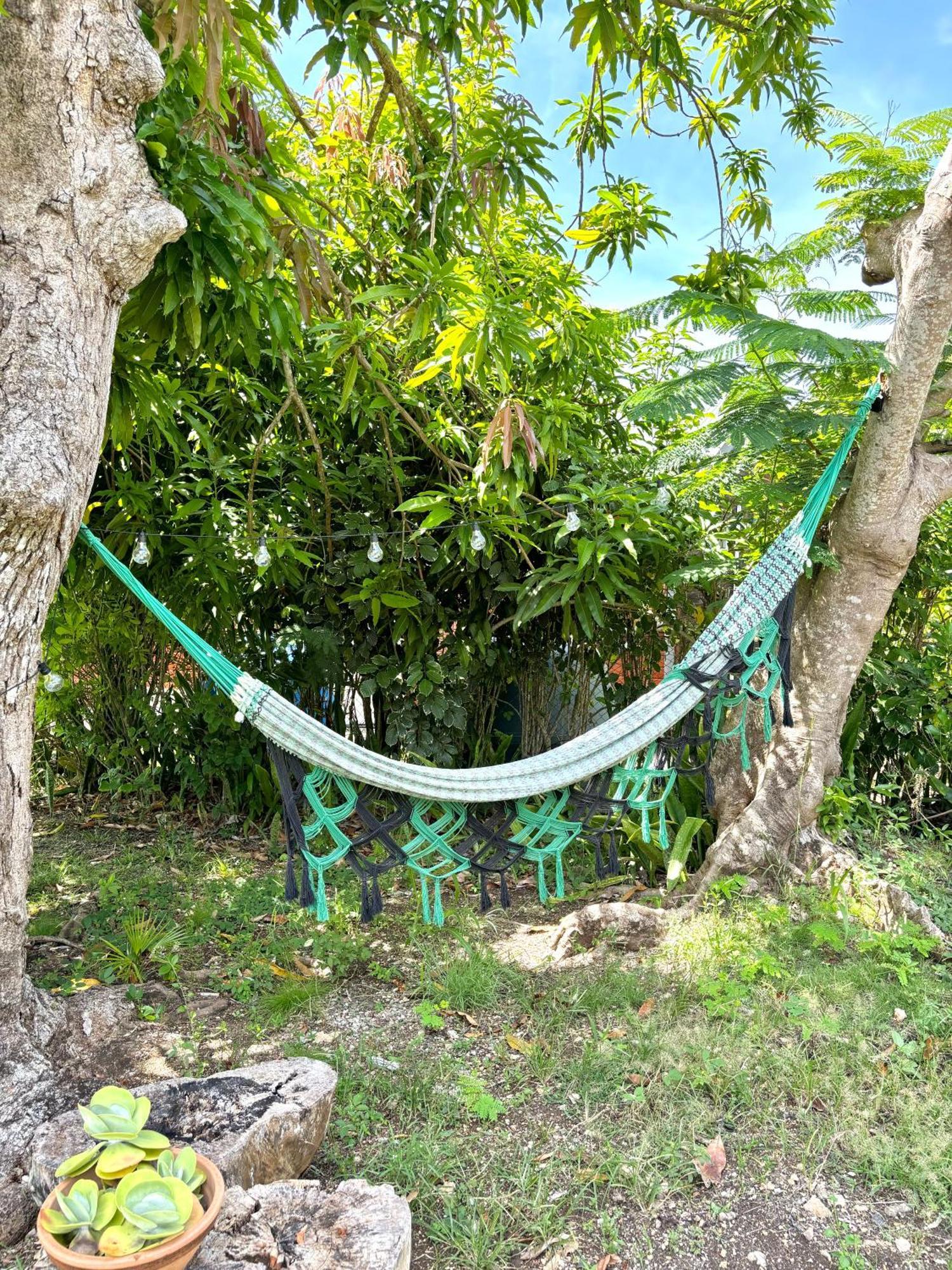 Anse-Bertrand La Maison Creole Du Flamboyant - Proche Des Plages מראה חיצוני תמונה